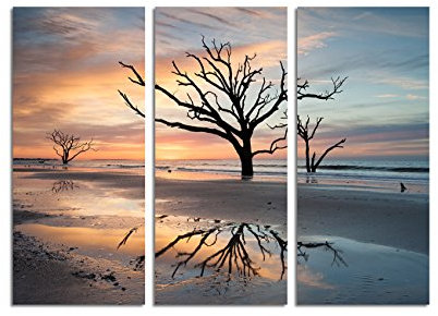 Paul Sinus Art 130x90cm – Keilrahmenbild einzelner Baum Strand Charleston Sonnenuntergang 3teiliges Wandbild auf Leinwand und Keilrahmen - Fotobild Kunstdruck Artprint