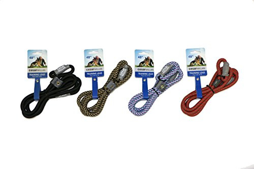 Cesar Millan Leine - Trainingsleine für Hunde - 2in1 Halsband Hund und Leine - Retrieverleine mit integrierter Halsung, Wetterfestes und Robustes Tau - Länge 120cm Durchmesser 1,2cm Farbe Grau