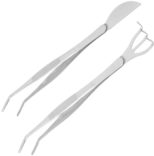Cabilock 1 Ensemble De Pinces À Bonsaï Outils Pour Bonsaï Pinces À Épiler Succulentes Grattoir À Bonsaï Pince À Épiler Pour L'Artisanat Petit Râteau Pince À Râteau De Jardin Outil