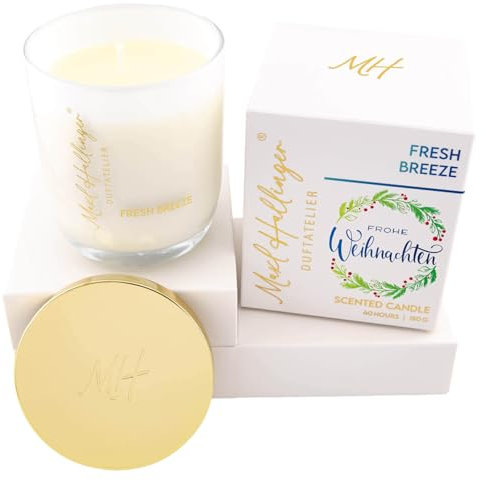 Hallingers Genuss Manufaktur Weihnachts Duftkerze aus Sojawachs bis 40h Maxl Hallinger, scented candle, Duftkerzen im Glas