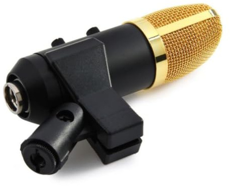 RUNROTOO Microfono Condensatore USB F100tl con Alta Sensibilità e Effetto Basso, Struttura in Metallo, per Registrazione Privata e Uso con Computer