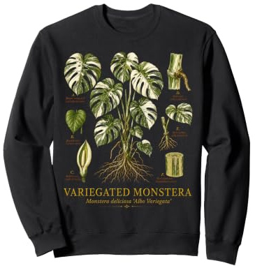 Variegated Monstera Albo Vintage Botanical Anatomy Study Sweatshirt