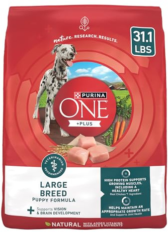 Purina ONE Plus Puppy Dry Dog Food for Large Dogs High Protein Growth Support, Real Chicken - 31.1 lb Bag