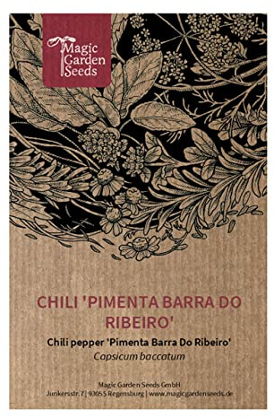 Chile brasileño 'Pimenta Barra Do Ribeiro' (Capsicum baccatum) - aprox. 10 semillas