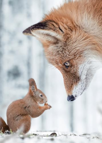 Ulmer Puzzleschmiede - Puzzle „Fleißig & Schlau“ - Pfiffiges 2000 Teile Tierpuzzle – Eichhörnchen und Fuchs im Winterwald - Tiere verblüffend in Szene gesetzt - Puzzle-Qualität Made in Germany