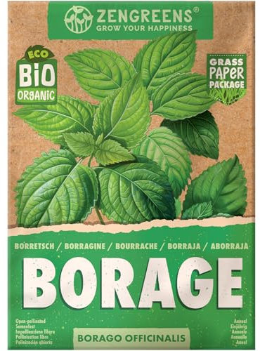 ZenGreens® Semi di borragine biologico - Semi di erbe aromatiche per la coltivazione in giardino, sul balcone o in cucina - Ideali per i principianti