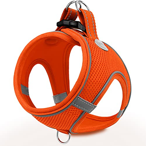 Joytale Step-in Hundegeschirr für Kleine Hunde, Atmungsaktiv, Orange XXXS | Verstellbare Passform Für Kleine Hunde, Schnell An Und Aus, Gleichmäßiger Druck Auf Brust, Reflektierend, Maschinenwaschbar