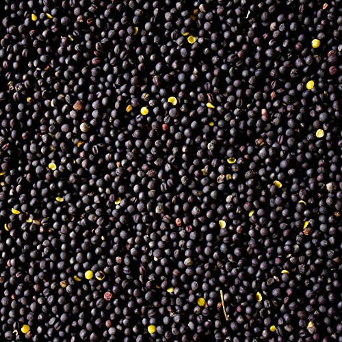 10 kg de semillas de colza sueltas para cojín térmico, cojín de frío, relleno de núcleos, material de relleno, masaje de pies, masaje de manos, terapia ocupacional, fisioterapia