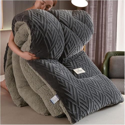 Super Warme Flanell Samt Quilt Winter Gewichtsdecke Doppelseitige Fleece Quilt Verdickte Warme Herbst Frühling Plüsch Bettdecke Kern, Ultraweiche Decke, B, 200x230cm/4kg