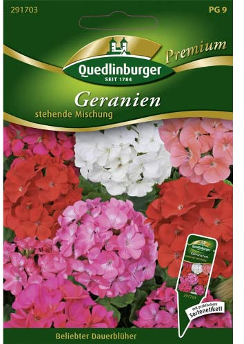 Geranien, stehende Mischung