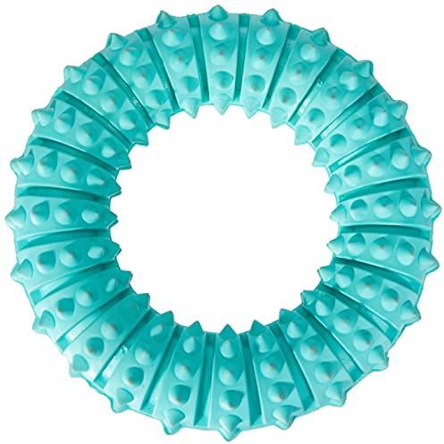 Trixie 33181 Denta Fun Ring, Mintfresh, Naturgummi, ø 12 cm