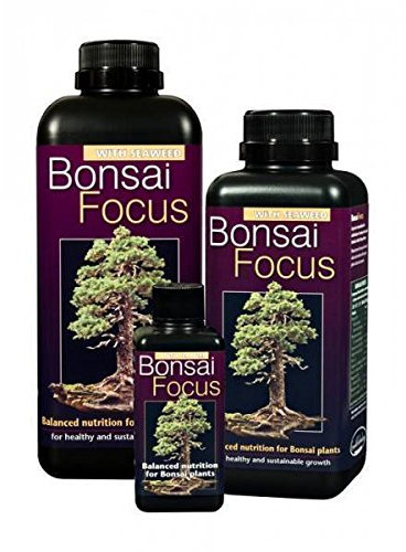 bonsai focus 300ml FREE SYRINGE