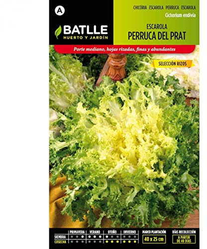 Semillas Batlle Escarola Doble Verano S. ESTIVAL