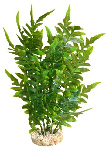 Sydeco Aquariumpflanze Aqua Wild Plant, grün, Höhe 27 cm
