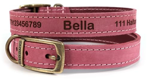 Personalisiertes Leder Hundehalsband (Rot, Größe 6) mit Wunschgravur | Laser-graviertes Ancol Halsband für Welpen, Individuell gestaltet mit Wunschtext oder Name ~ Hundemarke aus echtem Leder
