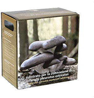 L'ABBATE NITTI SUBSTRATO PER COLTIVARE FUNGHI CARDONCELLI ACCESSORI ORTO SEMINA