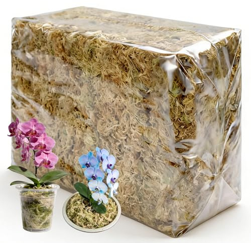 WPPQWP 500g Mikrodruck Torf Sphagnum Moos Langfaser Spagnummoos | für Pflanzen Orchideen Feuchtigkeitsretentiv, Atmungsaktiv, Wurzelfäule Verhindern, Steril