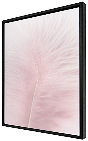 Bildershop-24 Schattenfugenrahmen Set Hamburg Schwarz (matt) mit Keilrahmen Leinwand Bild Druck Motiv: Feder Rosa 4 70x100cm