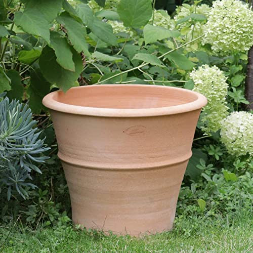 Palatina Ceramica, fioriera alta in terracotta, 40 cm, vaso da fiori mediterraneo, per giardino, terrazzo, balcone, Yucca