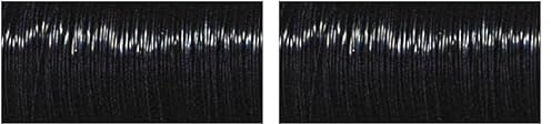 RAYHER HOBBY Rayher Blumendraht, schwarz, 0,35 mm ø, Spule 55 m, Material Eisen, Basteldraht, Wickeldraht, Bindedraht, 2419201 (Packung mit 2)