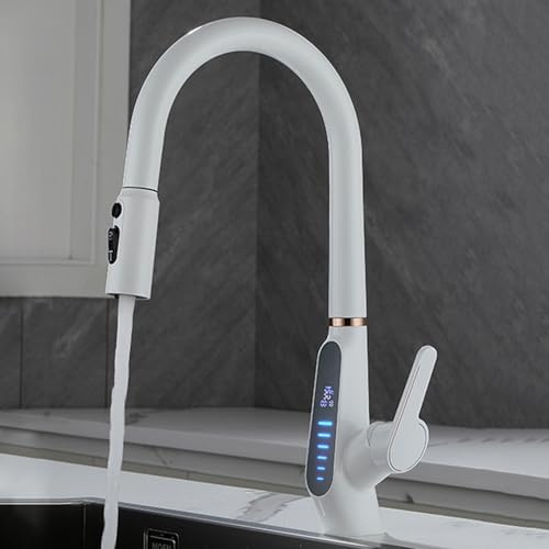 DJHFHCS Rubinetti da Cucina a 3 Vie Miscelatore per lavello con Filtro Estraibile Miscelatori da Cucina a Collo di Cigno Bianco con doccetta Estraibile Rubinetto a 3 Vie con Display Enterprise