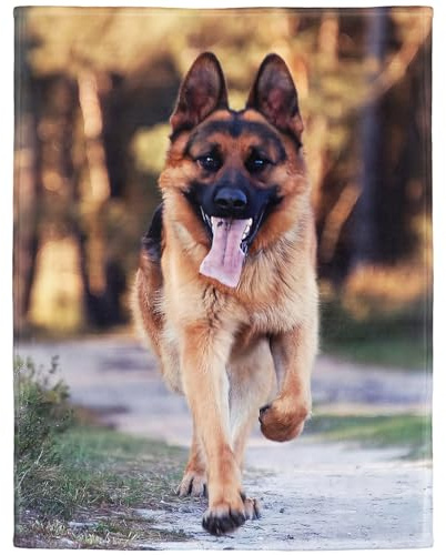 YISUMEI - 150 x 200 cm Decke - Netter Haustier Schäferhund Hund Fleecedecke,Kaschmir-Gefühl Kuscheldecke Geeignet für Bett oder Sofa