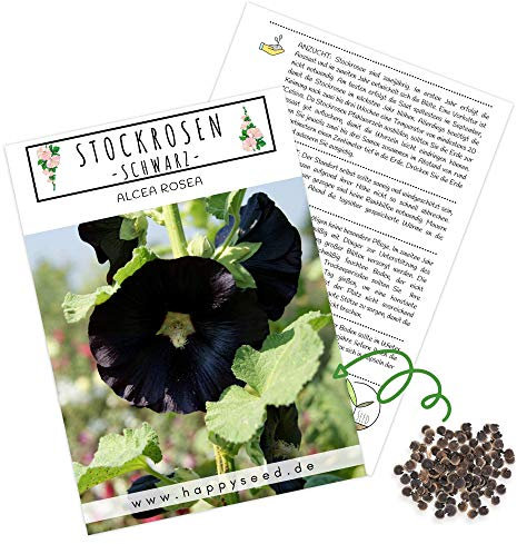 Stockrosen Samen zweijährig (Alcea Rosea) - Wunderschöne Rosen mit langer Blütezeit für besondere Akzente in Ihrem Blumenbeet (Schwarz)