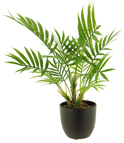 mucplants Künstliche Palme Chamaedorea Grün im Topf Kunstpflanze Höhe:ca.36cm Dekopflanze