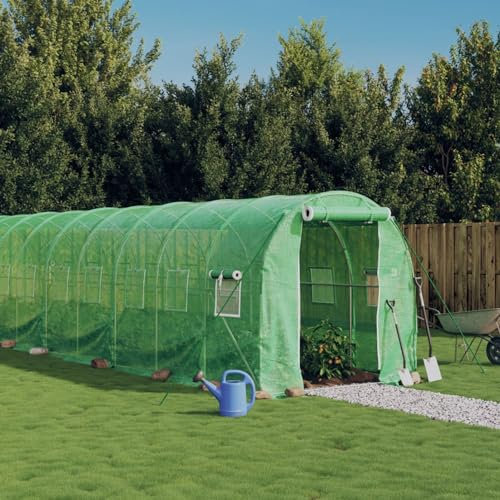 BaraSh Gewächshaus mit Stahlrahmen Grün 12 m² 6x2x2 m GewäChshaus Indoor FoliengewäChshaus Winterfest