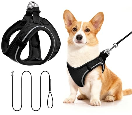 Hundegeschirr mit Leine 255cm M Set, Reflektierend (Schwarz) | Brustgeschirr Für Mittelgroße Hunde, Atmungsaktives Mesh Gewebe, Anti-Ausbruch, Spaziergang