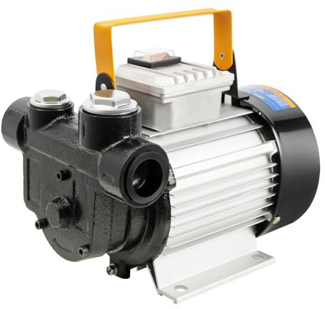 Pompa del carburante 550 W 220 V per escavatori, camion, barche – diesel/benzina – 20 – 60 L/min – nero/argento – ghisa/lega di alluminio