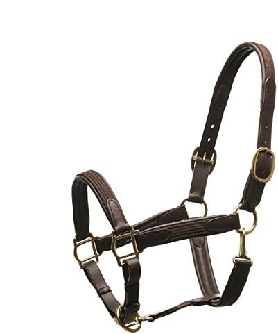 Horsecode Halfter Brown Gold VB