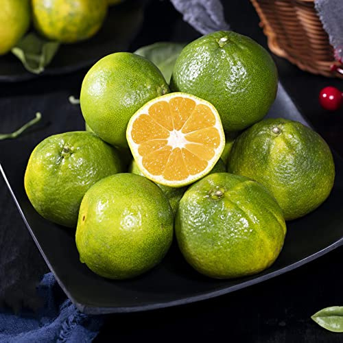 orangenbaum kaufen obstgarten beerensträucher exotische winterfeste balkon obstbäume bonsai spalierobst obstbaum steingartenpflanzen baumsamen gartendeko für draußen obstpflanzen 300samen