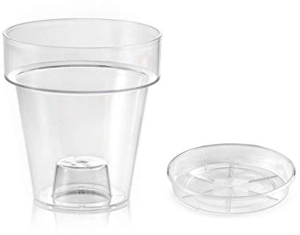 Maceta transparente Porto con soporte para orquídeas, 14 cm de diámetro, con plato de apoyo