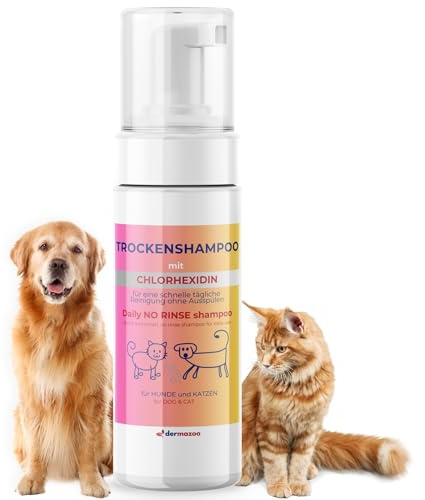 Dermazoo Shampoo secco per cani e gatti con clorexidina senza risciacquo, 190 ml, mousse per uso rapido e completo, shampoo per cani e gatti inodore