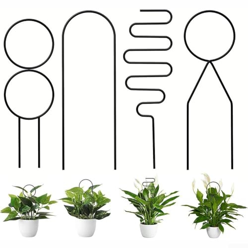 Treillis en métal pour plantes grimpantes pour vignes, philodendrons et jasmin, parfait pour les jardins intérieurs et extérieurs (noir)