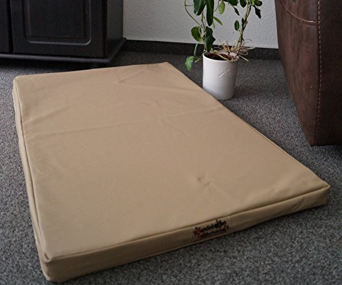 Hundebettenmanufaktur Hundematratze Hundebett Kunstleder Schaumstoff 5 cm Verschiedene Größen und Farben wählbar (60 cm X 40 cm, beige)
