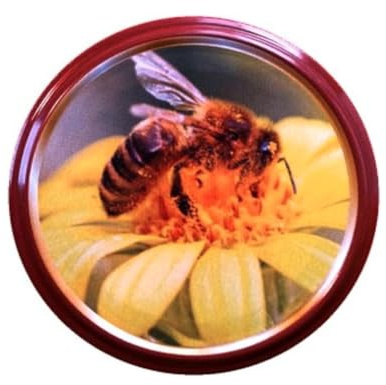 10 X JAM JAR CAP LIDS TWIST OFF MULTICOLOURED N31, 82mm.THEY ARE IDEAL FOR ANY TYPE OF PRESERVES,HONEY,JAM,MARMALADE,CHYTNEYS,THE LIDS ARE VINEGAR PROOF.
