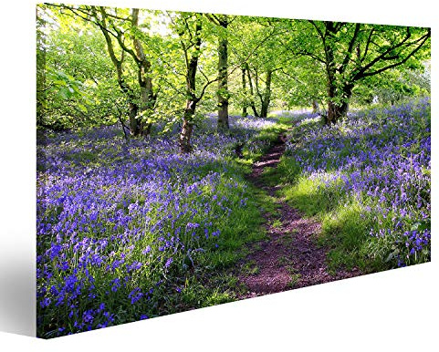 islandburner Bild auf Leinwand Blaue Glocken Blumenwiese In Schottland Bilder Wandbilder Poster