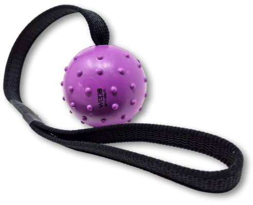 WEPO Hundeball mit Schnur Lila - Hundespielzeug draußen - Hundetraining Zubehör - Wurfspielzeug Hund - Zahnpflege Ball mit Noppen massiert Zahnfleisch & Zähne - Zum Trainieren & Spielen