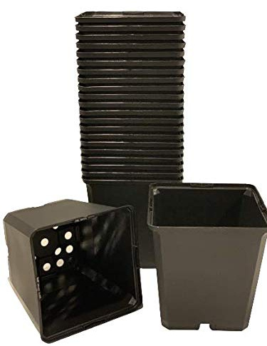 spiceboxx 50x Vierecktopf Pflanztöpfe Blumentöpfe Pflanzcontainer Anzuchttöpfe Vierkanttöpfe 13x13x13cm schwarz
