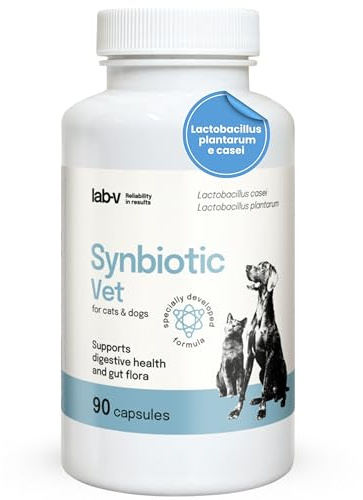 Lab-V Synbiotic Vet 90 Kapseln, Probiotika Hund & Probiotika Katze mit Präbiotika, Darmkur Hund für gesunde Darmflora & Verdauung, Ergänzungsfuttermittel ohne Zusatzstoffe zur Darmgesundheit