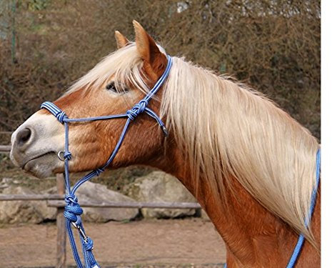 BeGentle Knotenhalfter Blau – Weiches, anschmiegsames Material – zweifarbige Optik – für Bodenarbeit & gebissloses Reiten – Größe COB
