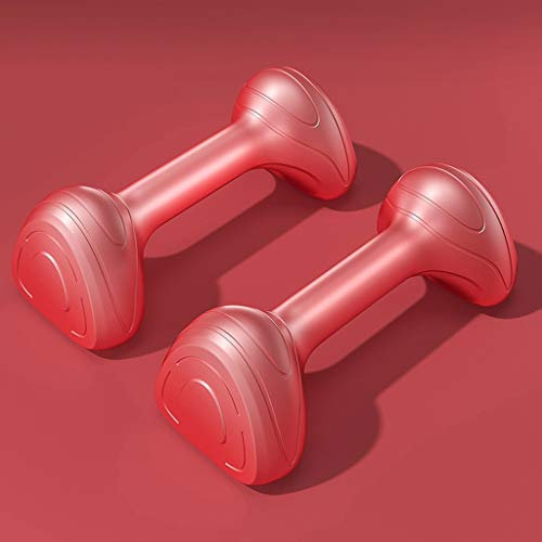 liushop Ausdauertraining und Muskelaufbau Vinyl Hantel Gewicht Hantel Resistant Sweat & Feuchtigkeit in verschiedenen Gewichten Variationen 1kg, 1.5kg, 2kg, 3kg, 2er-Set 2er Set Neopren Hanteln
