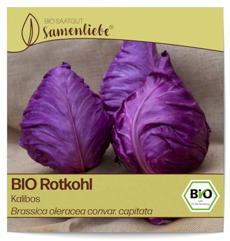 Samenliebe BIO Rotkohl Samen alte Sorte Kalibos mild-süßlicher Spitzkohl spitzer Kohl rot 100 Samen samenfestes Gemüse Saatgut für Gewächshaus Freiland und Balkon BIO Gemüsesamen