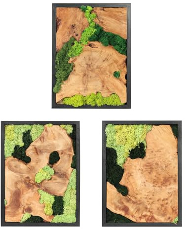 NAHARO Wandkunst, natürliches konserviertes Moos, natürliches Moos und Holz, handgefertigt, rustikaler Charme für Ihr Zuhause, einzigartiger Wandbehang für Wohnzimmer, Schlafzimmer, Büro oder Küche