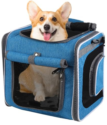 Hundekorb Fahrrad – Hundeträger für Fahrrad | Rucksack verstellbar, Belüftungstasche, Transport, Reisen, Wandern, Camping, Gehen