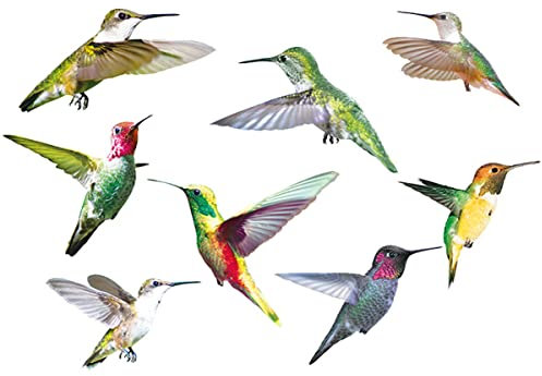 Hummingbird Window Clings,9PCS Birds Wall Decal,Hummingbird Window Cling Anti-Collision Window Clings Decals,Flying Bird Sticker Hummingbird Stickers For Window&Living Room Office Wall Art Decor