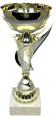 Express Medals Coppa trofeo oro e argento da 24 cm, per eventi, tornei sportivi, competizioni, regalo di riconoscimento o premio, altezza 24 cm x larghezza 9,9 cm, AMC335-C