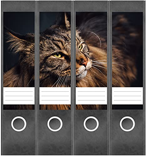 Etiketten für Ordner | Katzenfoto Katze | 4 breite Aufkleber für Ordnerrücken | Selbstklebende Design Ordneretiketten Rückenschilder